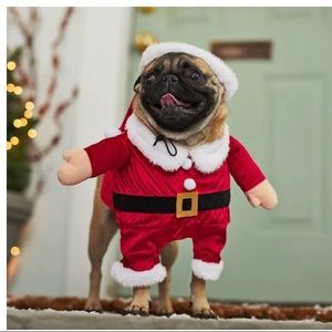 Dog Santa Suit